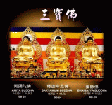 ��ʥ��(�����ӷ��ķ�ҩʦ��)