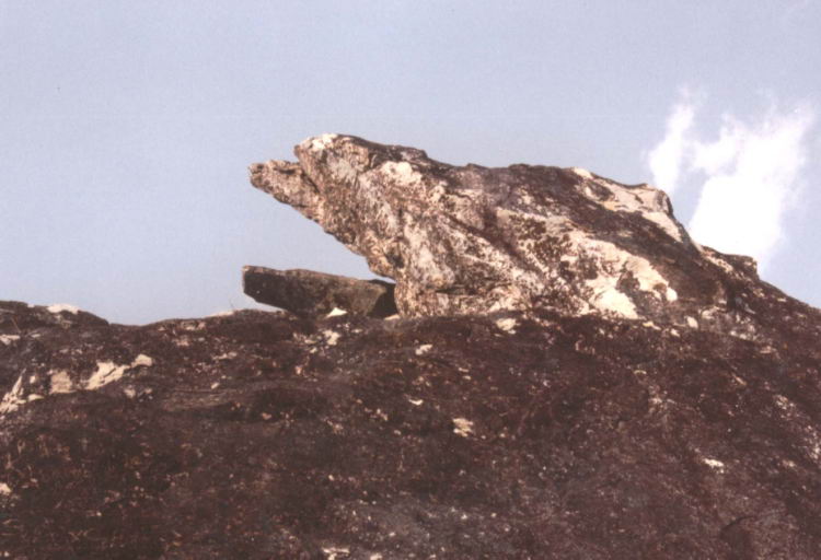 灵鹫山山顶灵鹫石照片，取自 http://www.bya.org.hk/life/indiatrip/india/images/Image_2.24.156.JPG